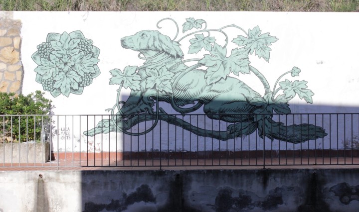emergence-festival-2015-lucamaleonte-07