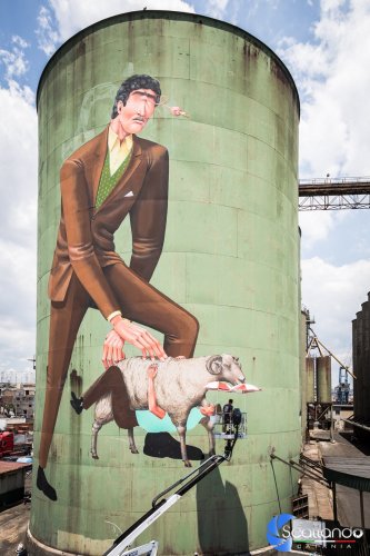 street-art-silos-101